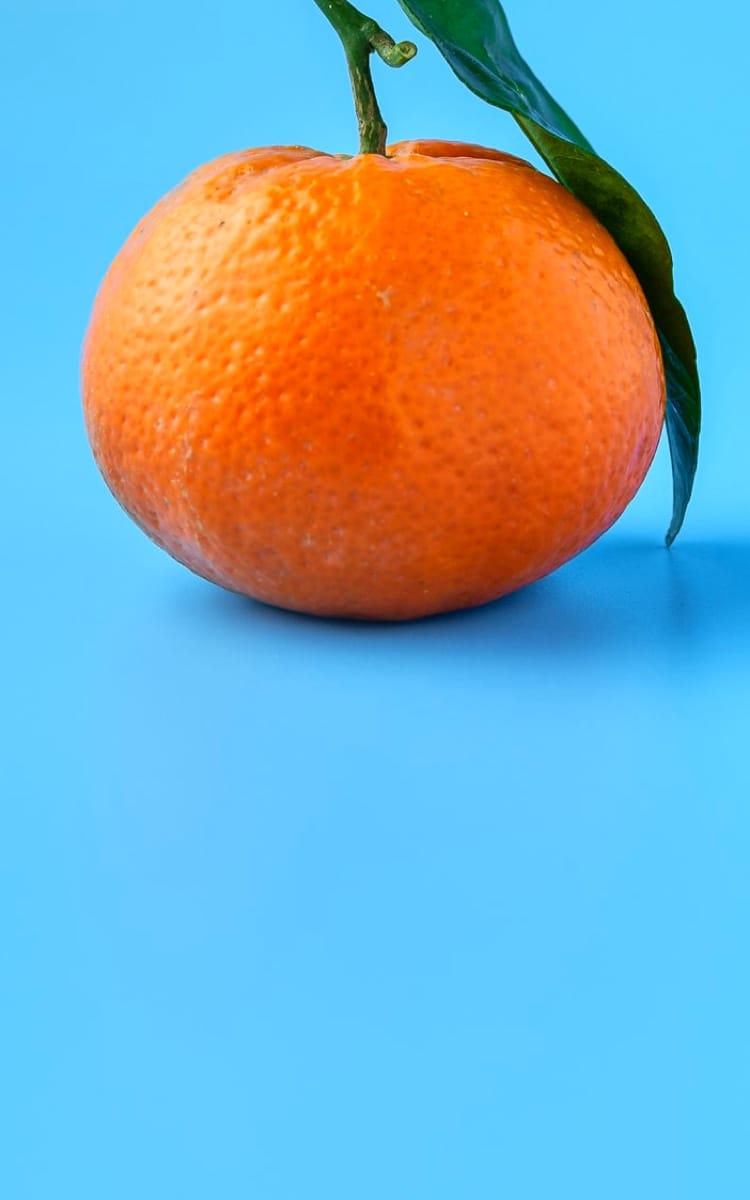 Photography (orange) image